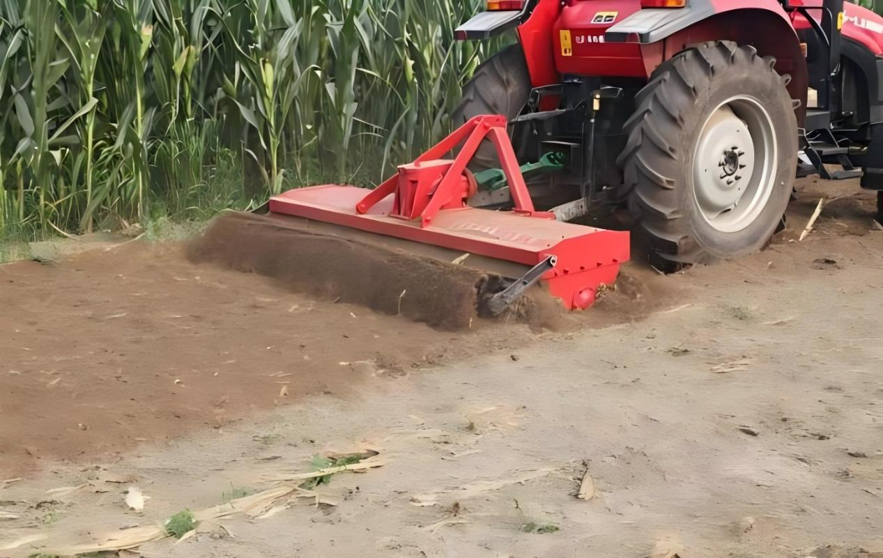 Miért válnak egyre népszerűbbek a forgókorongok?